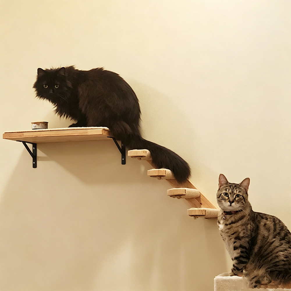 猫用家具 無垢材製吊り下げ式ブリッジ 壁掛け式サイザル麻製猫 - Furniture Paradise & Hardware Ghaziabad By Owner のレビューと価格